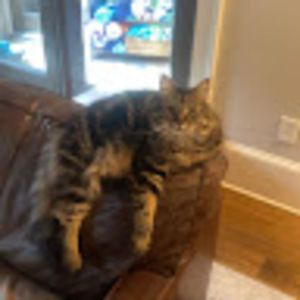 Meet your Posher, Evan